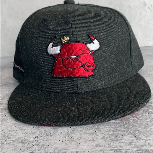 Chicago Bulls Artist Series Hat - Picture 1 of 8